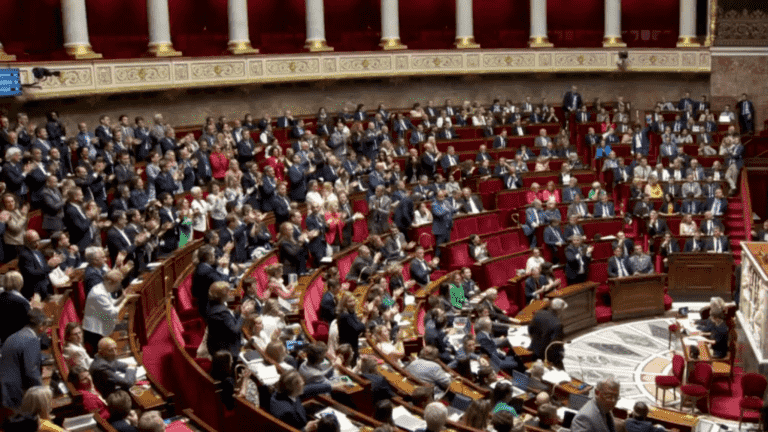 National Assembly: social networks, the other playground for deputies