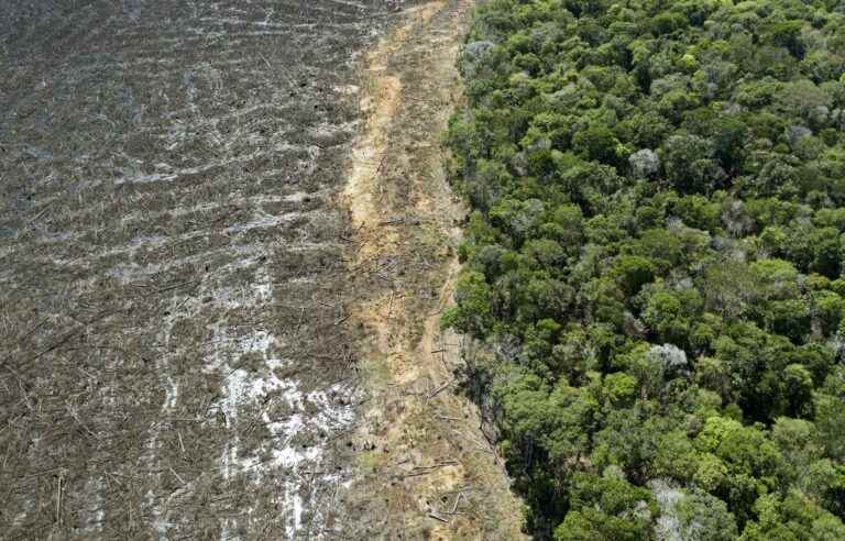 Nature is not just a source of profit, warns the UN