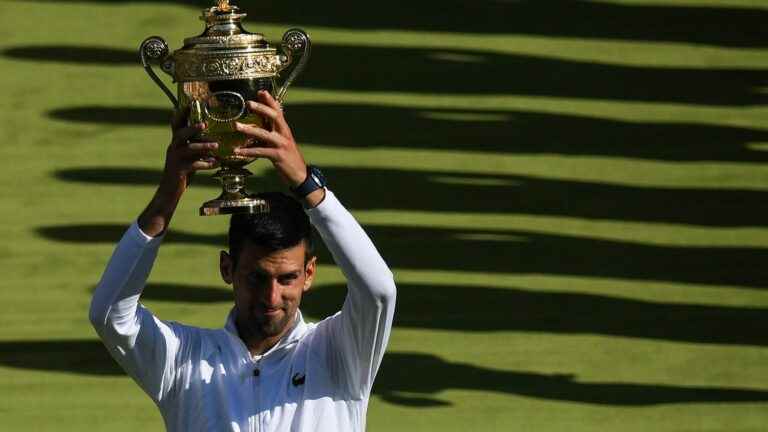 Novak Djokovic conquers a seventh crown and his 21st Grand Slam tournament