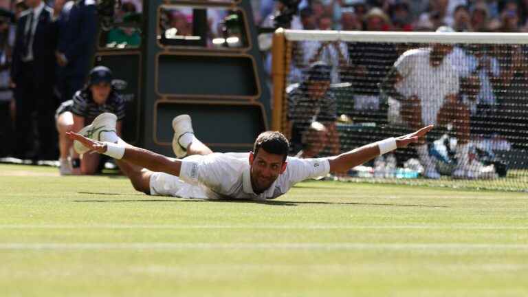 Novak Djokovic, winner in green and against all