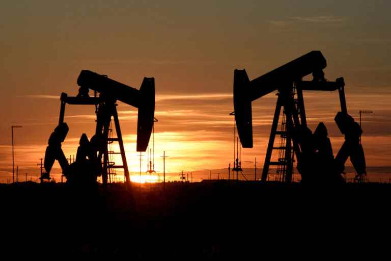 Oil signs first monthly decline in months