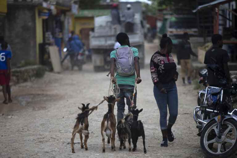 One year after the assassination of the president of Haiti |  Another crisis, another dead end