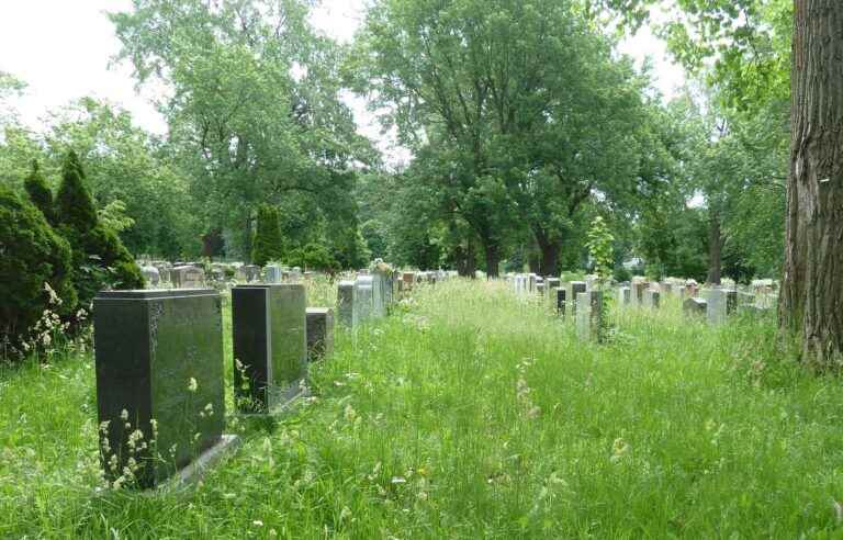 [Opinion] Green plan from Tartuffe to the cemetery