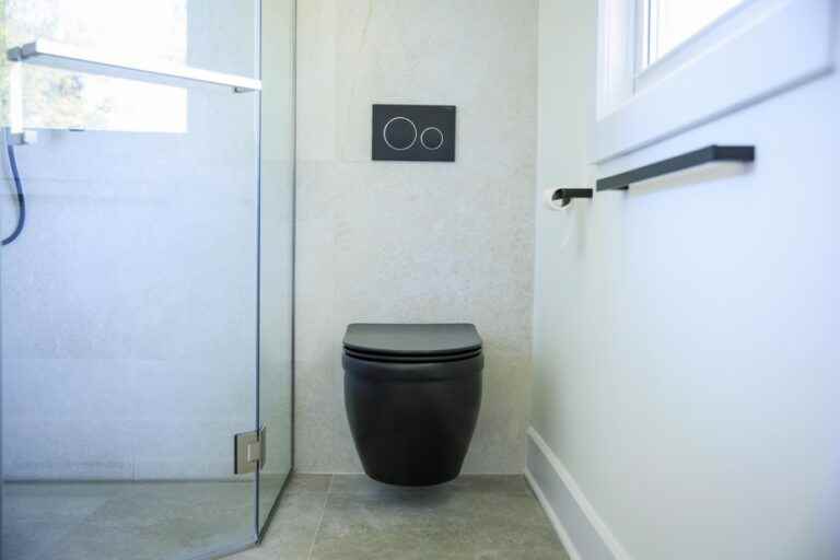 Opt for the elegance of the black toilet