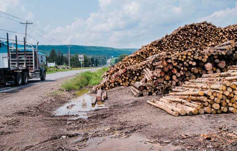 Ottawa considers bioenergy strategy