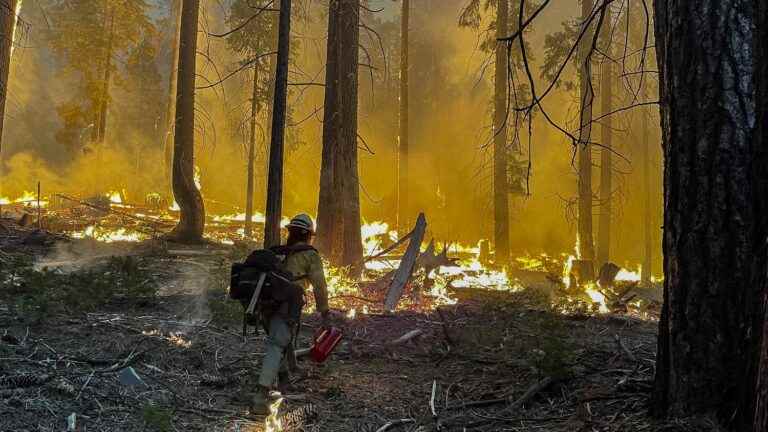 Out-of-control wildfire threatens giant sequoias in Yosemite Park