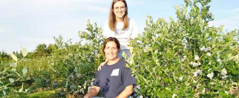 Pick blueberries near the US border