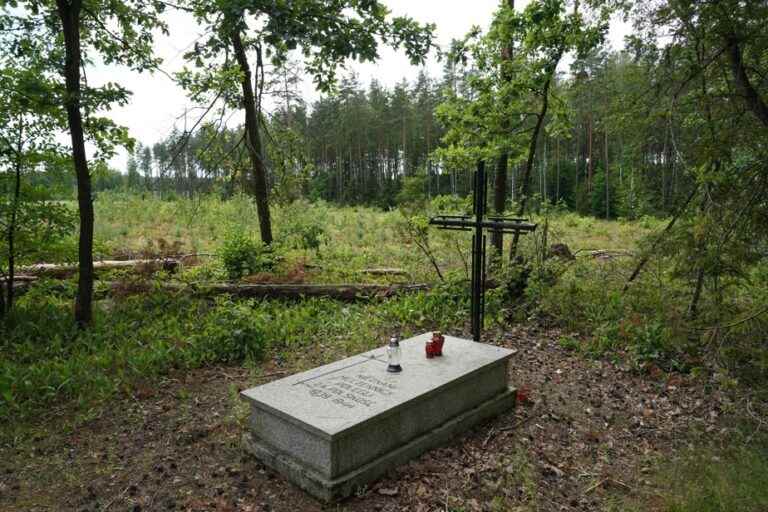 Poland |  Discovery of the remains of 8,000 victims of Nazi terror