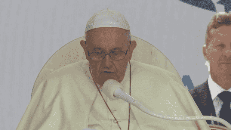 Pope Francis asks for forgiveness for the abuses committed by the Church