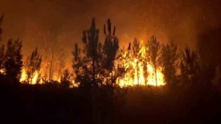 Portugal: many fires hit the country with 3,000 hectares already devastated