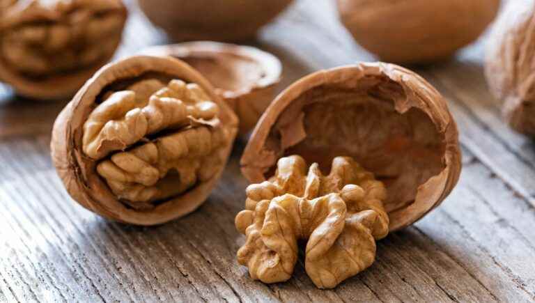 Quercy walnuts and Rocamadour