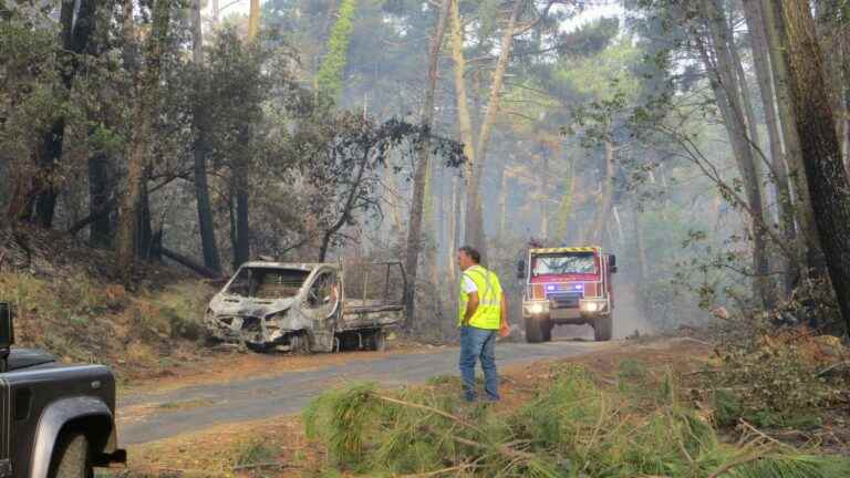 REPORTAGE.  In the Landes forest, could the “fire of the century” have been avoided?