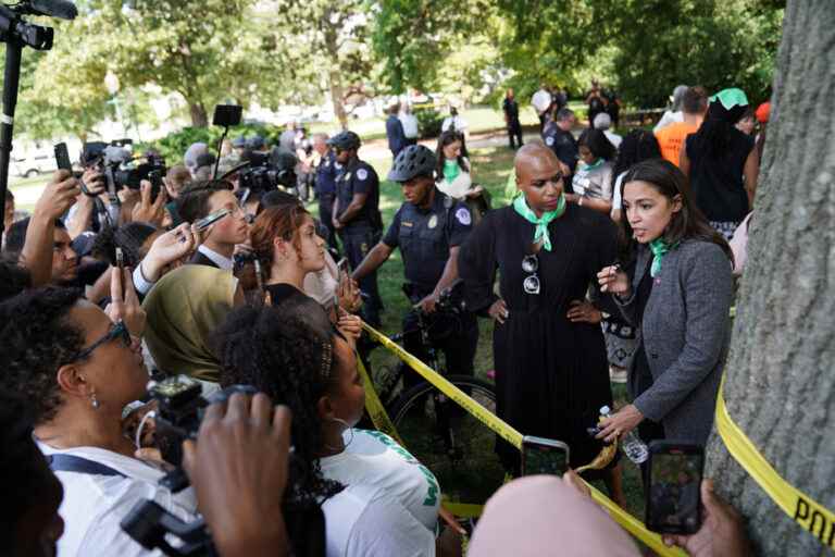 Right to abortion |  17 congressmen arrested in Washington during a demonstration