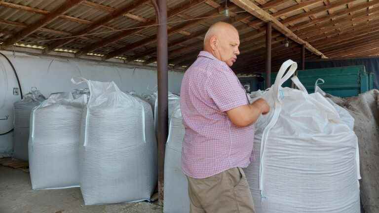 “Russia does not keep its word”, worries a Ukrainian farmer after the agreement on wheat exports