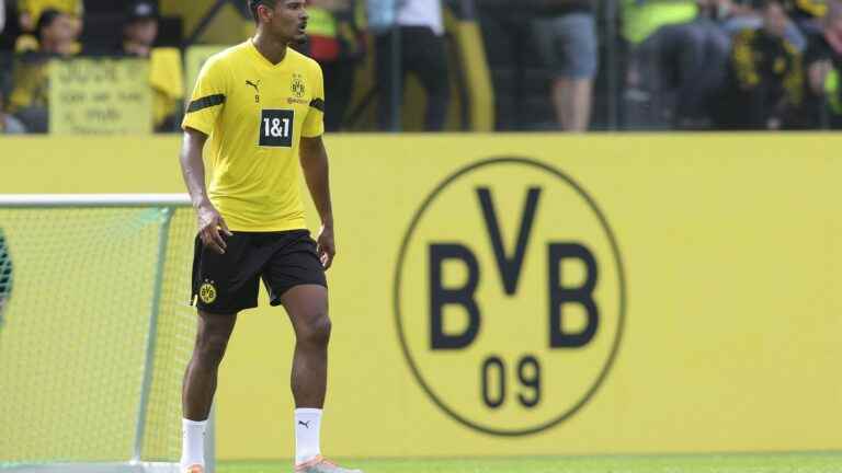 Sébastien Haller “feels good” after the operation of his testicular tumor