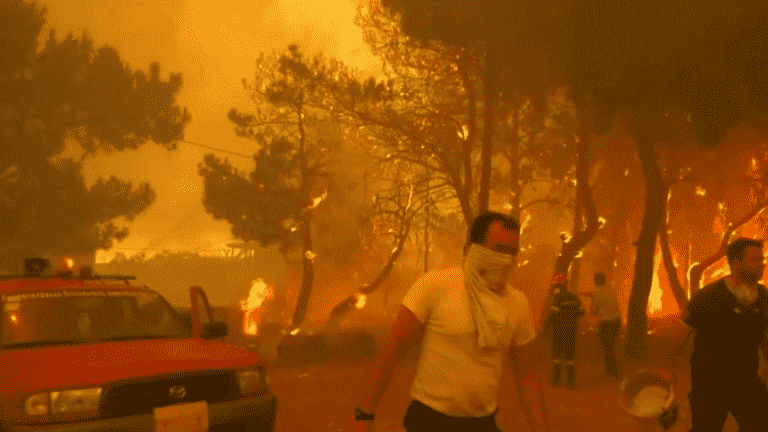 Southern Europe ravaged by flames