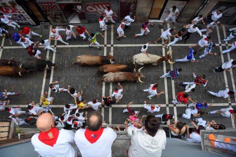 Spain |  Three gored dead in bull run