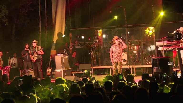 Steel Pulse, the legendary British reggae group, ignited the audience at the Néoules festival in the Var