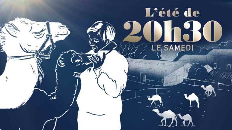 “Summer from 8:30 p.m. on Saturdays”.  Larzac camels – France 2 – July 30, 2022