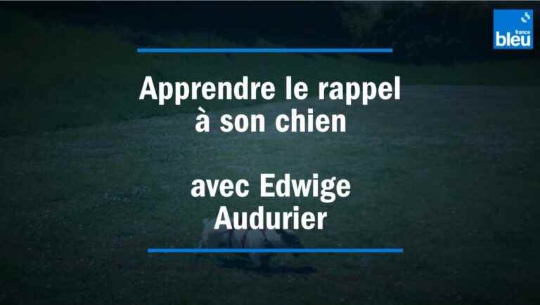 Teach your dog to recall with our expert Edwige Audurier
