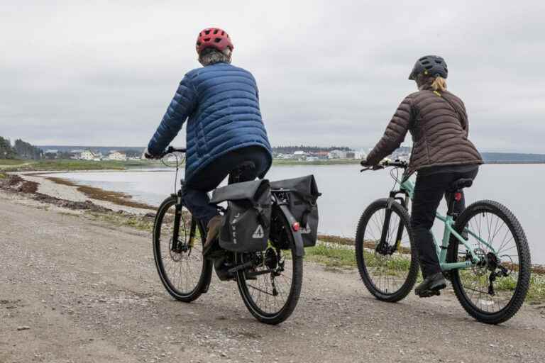 Technology |  The pleasure of the electric bike in complete safety