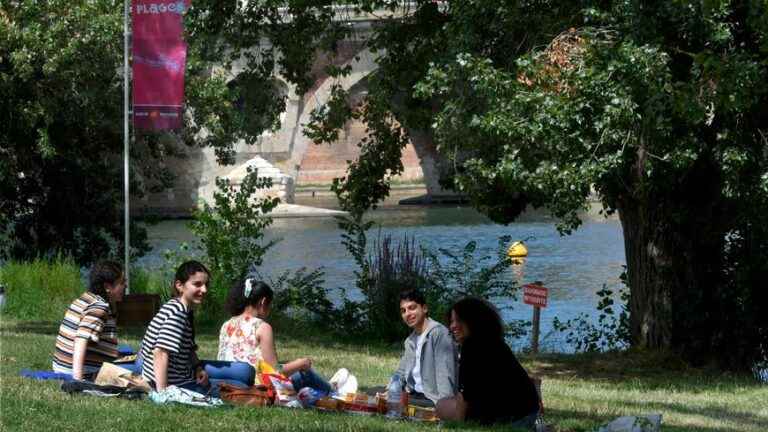 The 20th edition of Toulouse Plages takes place on the quays from July 22