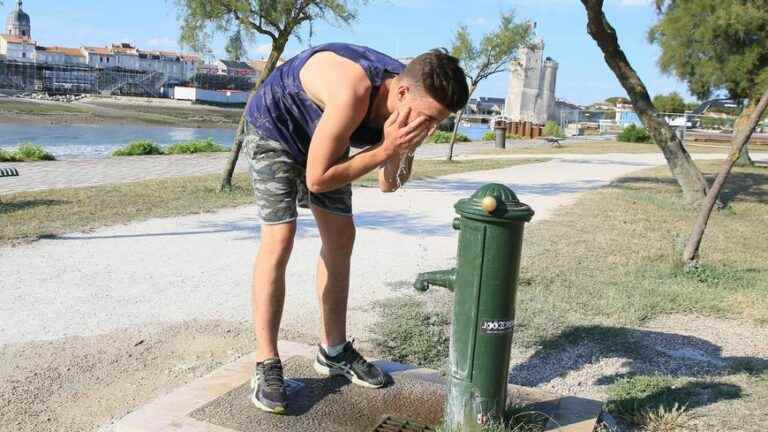 The City and the Agglomeration of La Rochelle deploy the heat wave plan