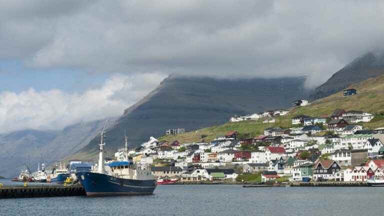 The Faroe Islands limit their hunting quota to 500 dolphins per year