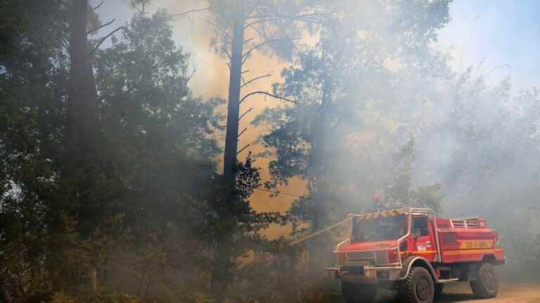 The Gironde goes into red vigilance for risk of forest fires