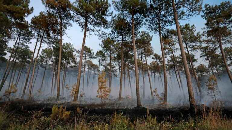 The Landes go into red vigilance at forest fires