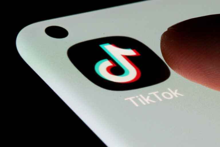 The Lure of TikTok Challenges |  The Press