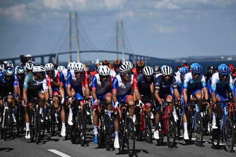 The Press at the Tour de France |  The Quebecers get off lightly in the second stage despite the winds