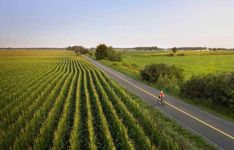 The gourmet Véloroute, or a certain taste for cycling