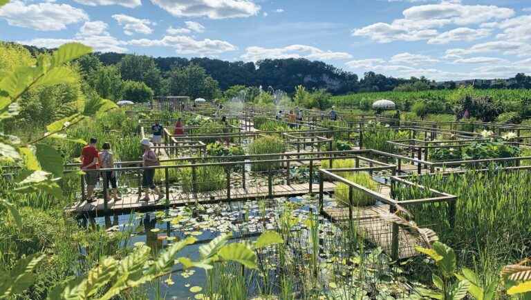 The land of Fenelon