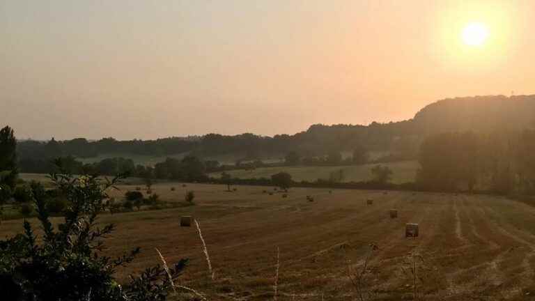 The smells of smoke felt in Yonne are due to the fires in Gironde