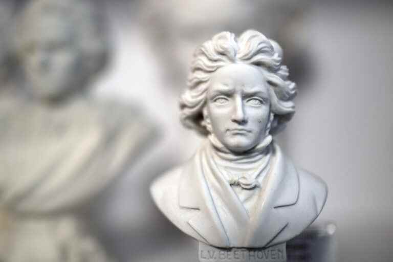 Ticket |  Beethoven and Camilla