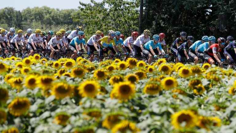 Tour de France 2022: the route of the 15th stage between Rodez and Carcassonne