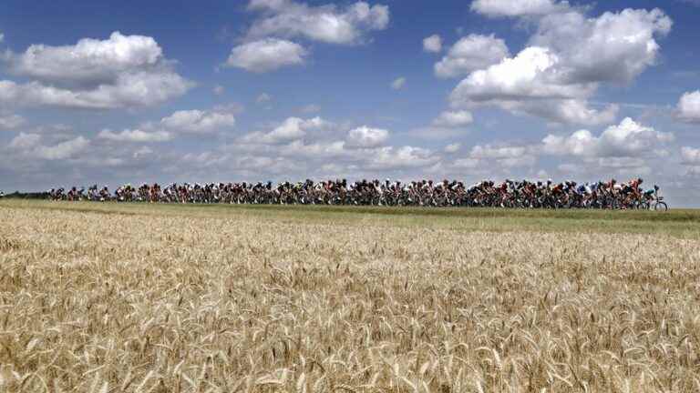 Tour de France Women 2022: follow the 4th stage between Troyes and Bar-sur-Aube