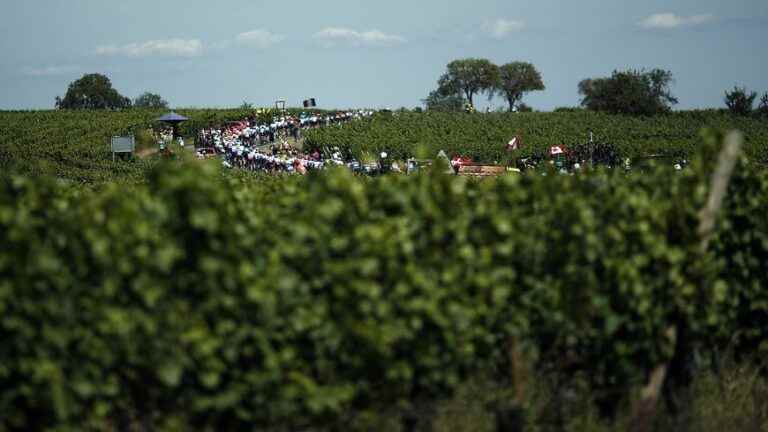 Tour de France Women: follow the 6th stage between Saint-Dié-des-Vosges and Rosheim