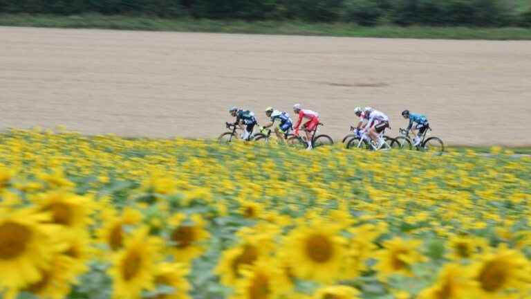 Tour de France: follow the 17th stage between Saint-Gaudens and Peyragudes