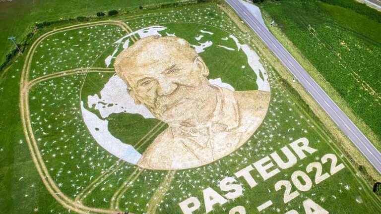 Tour de France: two monumental frescoes in homage to Louis Pasteur in the Jura