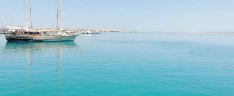 Two women killed by shark in Egypt’s Red Sea