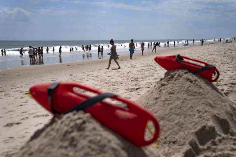 US East Coast |  The increasing number of white sharks