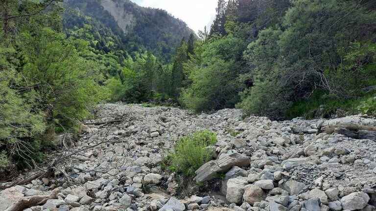 “We are facing the drought of the century” for hydrobiologist Antoine Orsini