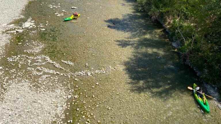 “We are shooting at 25% of the usual attendance”: the Drôme canoe bases are suffering from drought