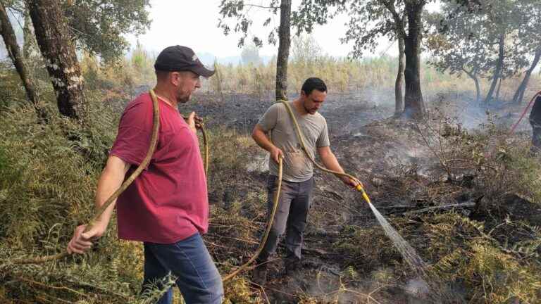 “We were born here, so if we can lend a hand”, in Landiras, the inhabitants come to the aid of the firefighters