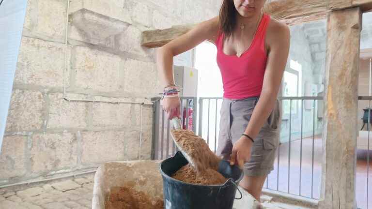 Young people restore the Citadel of Besançon