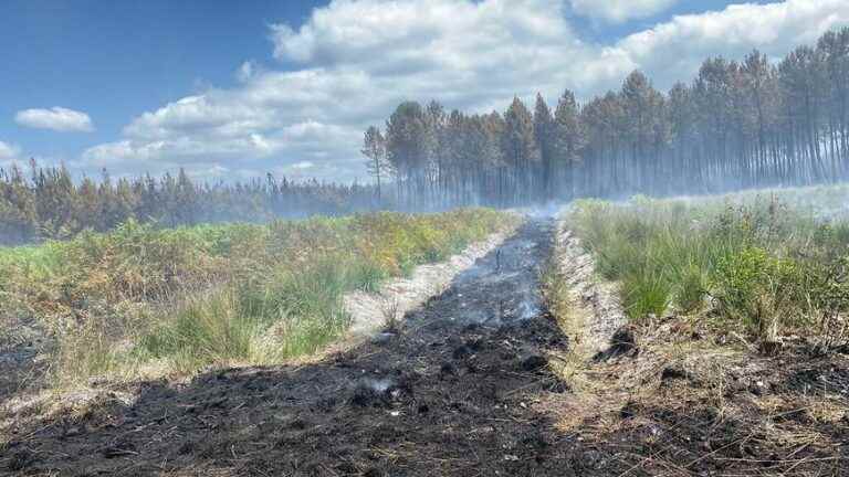 a Gard firefighter who went as reinforcement testifies to “a fire that will mark history”