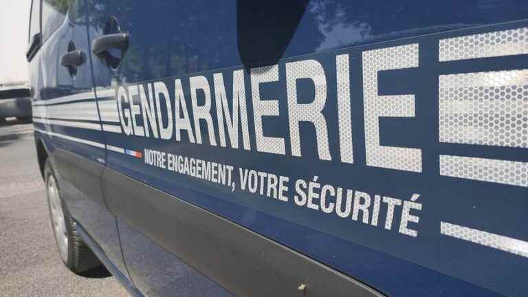 a car thief arrested after driving in the wrong direction to avoid the gendarmes