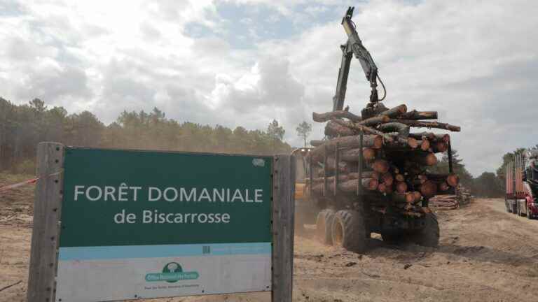 a giant firewall deployed to spare Biscarrosse from the flames